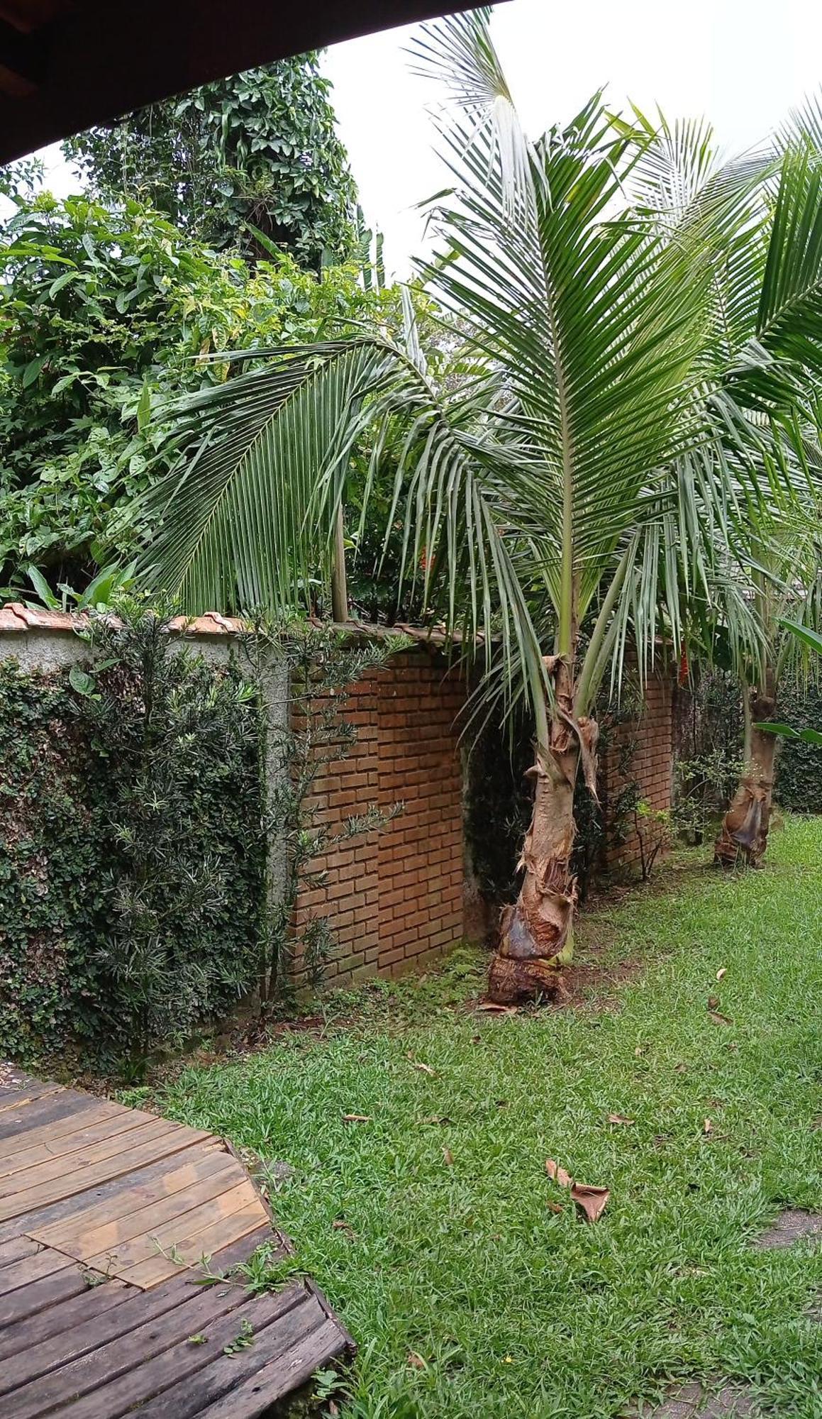 Casa Dos Coqueiros Praia De Camburi, Condominio Camburi  Luaran gambar